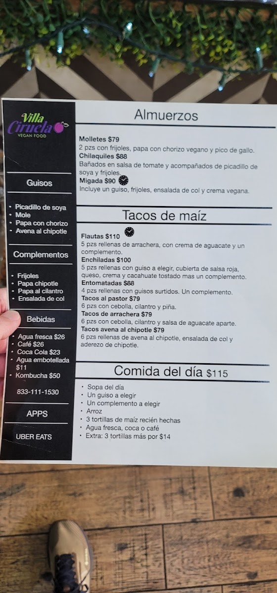 Menu Villa Ciruela-3